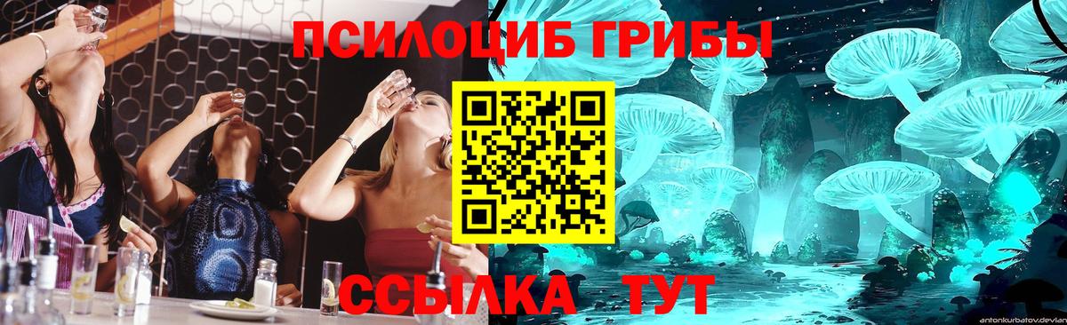 Галлюциногенные грибы MAGIC MUSHROOMS  Вход с VPN  Славгород 