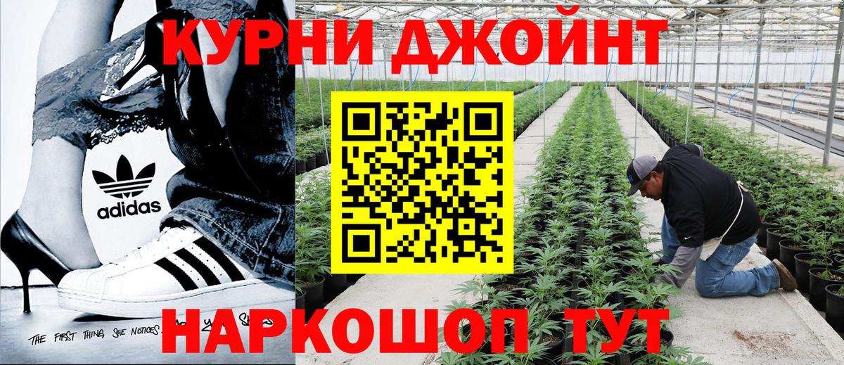 Конопля AK-47 Славгород